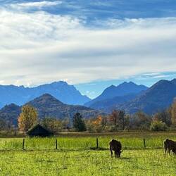 Donnerstag, 17.10. | so schön hier!