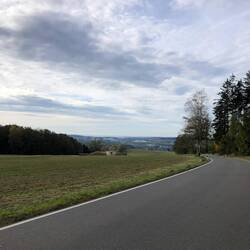 Wegen Forstarbeiten ging ich die letzten Kilometer auf der Straße