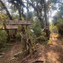 Ab hier ging nur noch bergab