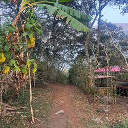 Los geht's an Tag 4 über den alten Incaweg