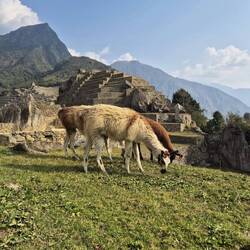 Unsere Freunde sind auch dabei