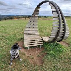 ...aber es ist eine Sitzgelegenheit mit Eifelblick