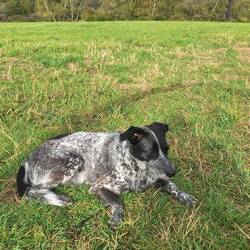 Entspannung mir Eifelblick