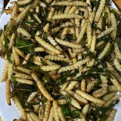 Mmmhhh, auch die hier sind äußerst tasty - duông tre, die Larven des Bambusbohrkäfers