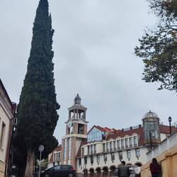 Sighnaghi: Stadthaus
