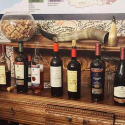 unsere 8 degustierten Weine