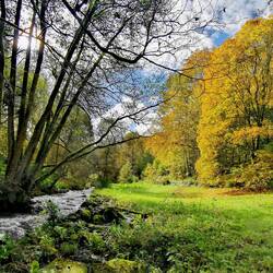 Alb Valley autumn mood!
