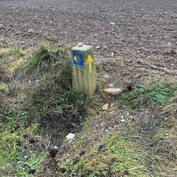 Es stehen hunderte dieser Dinger auf dem Weg.