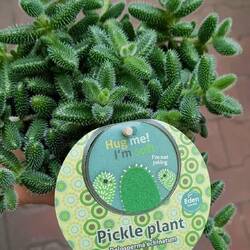 Bin übrigens keine 20 min unten gewesen. Viel zu voll und zu laut für mich.