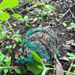 Ein selbstgebastelter Ball von Kindern die mit zur Feldarbeit genommen werden