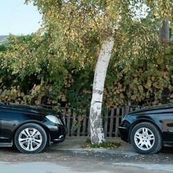 Mercedes, Mercedes, Mercedes