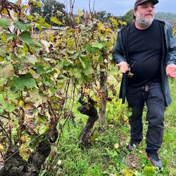 Bertrand in his element