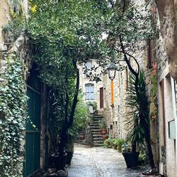 Beautiful pots and well kept climbers everywhere