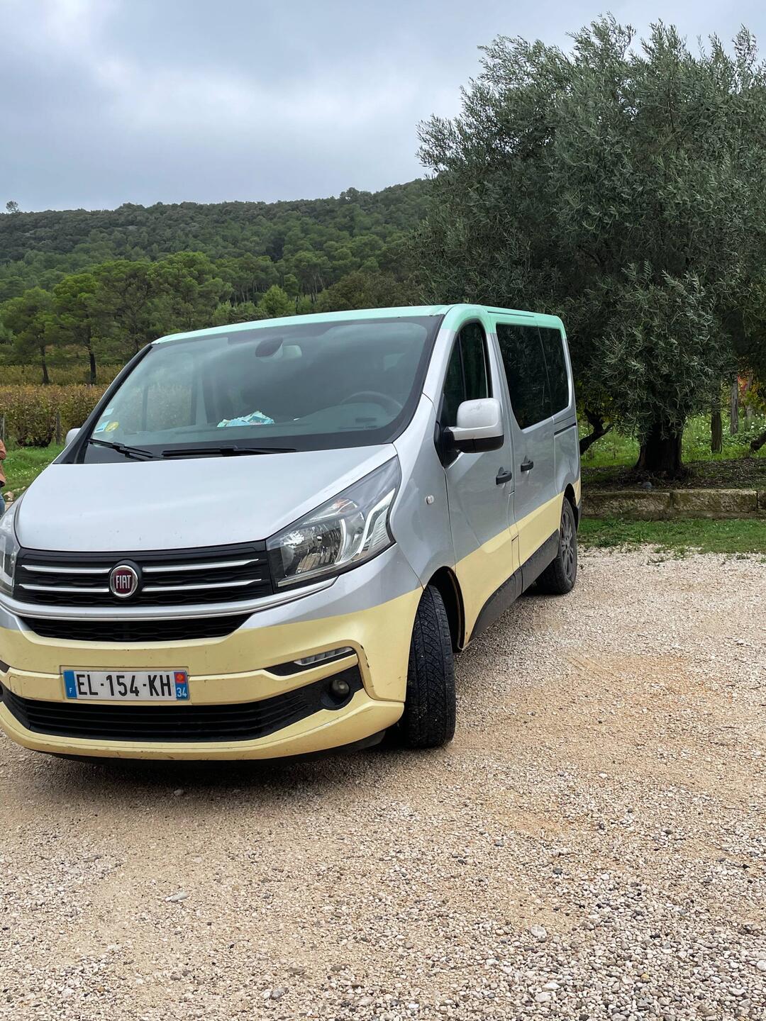 Fiat Van that got us around