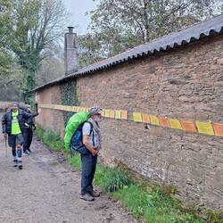 The wisdom wall - motivational snippets, 'one foot in front of the other' is all the wisdom you need