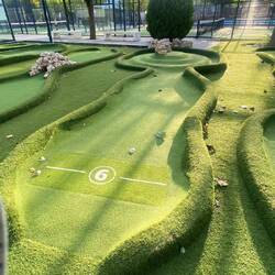 Wo ist mein Green Cepper? 🧐