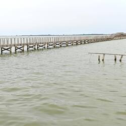 Lesina See
