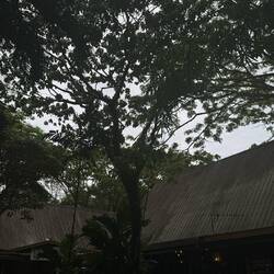 Rainforest Eco Lodge