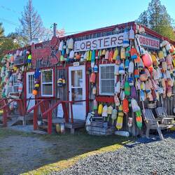 Lobster Shack