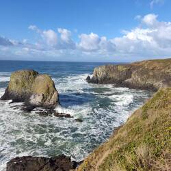 Bucht am Highway 101