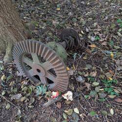 Interesting Treasure