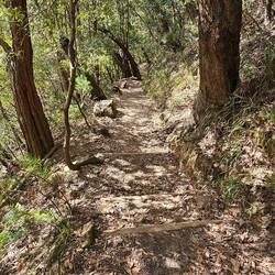 And sometimes the staircases are built into the natural contour of the land.