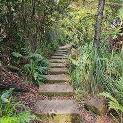 Walking path to the Three Sisters; the work done to create these paths is amazing!