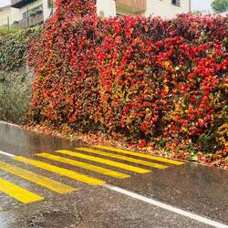 Was ist hier falsch? Oder lebt da ein Südtiroler Harry Potter?