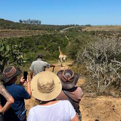 Spaziergang zu den Giraffen 🦒