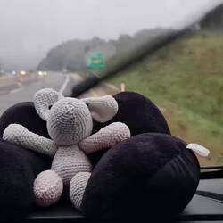 Wurmel genießt die Reise voll entspannt