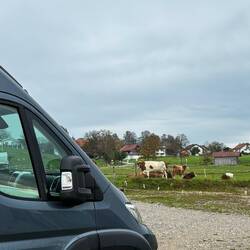 Freitag, 18.10. | neue Nachbarn