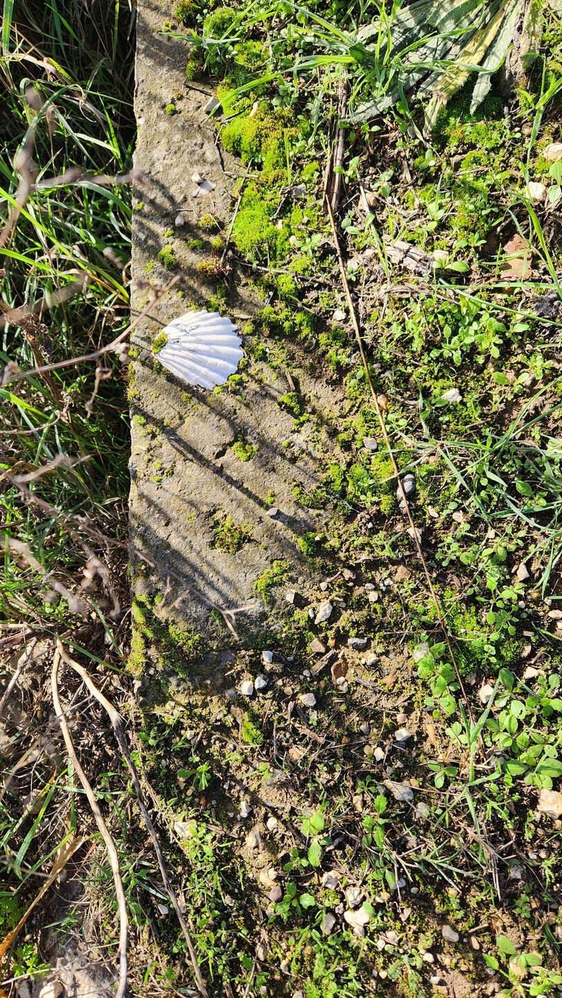 Embedded in the walkway