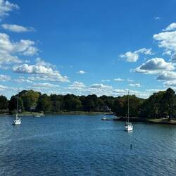 Southern Cross and True Love from Lighthouse balcony