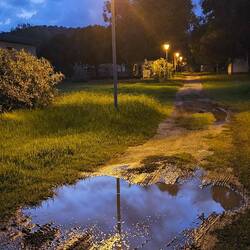 ...es dürfte kurz vorher geregnet haben...am Campingplatz, auf dem Weg zum Meer