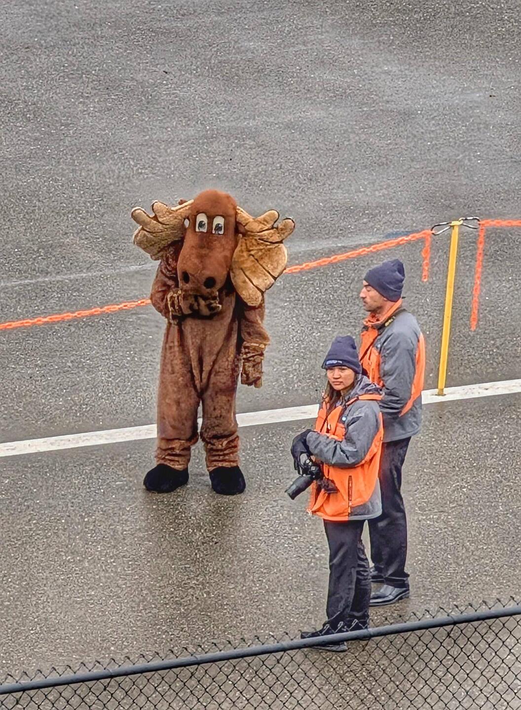 Bullwinkle came to greet us!