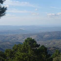 In der anderen Richtung sieht man nur Olivenplantagen weit und breit