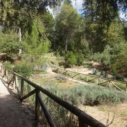 Der Jardino Botanico mit einigen endemischen Arten