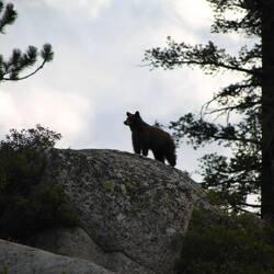 Zwar im Gegenlicht, aber erkennbar 😀