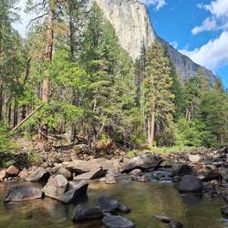 Ein bisschen Kletterer am El Capitan beobachten