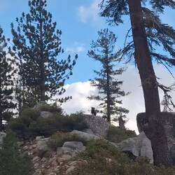 Zwar ein schlechtes Handyvideo, aber seht es uns nach, wir waren aufgeregt