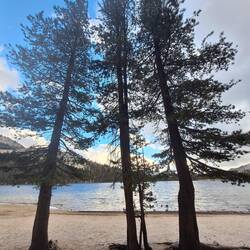 Tenaya Lake auf dem Weg zum Gebirgspass