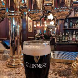 Check out the beer on tap above