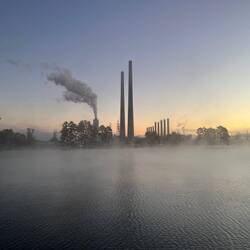 Foggy morning