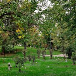 Und mitten auf der Wiese im Park alte Gräber. So schräg.