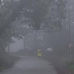 A misty and then rainy old morning.