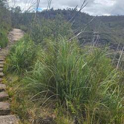 A cool path with a lot of interesting things to look at on the side.