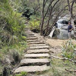The fantastically constructed paths kept us dry.