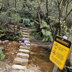 Read signs before crossing a stream