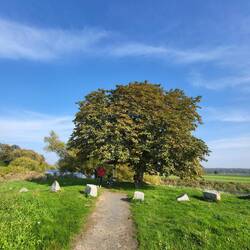 An der Muldenvereinigung.
