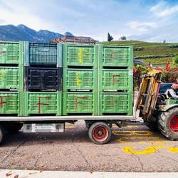 Ist das unser Bus???